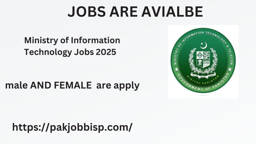 Ministry of Information Technology Jobs 2025