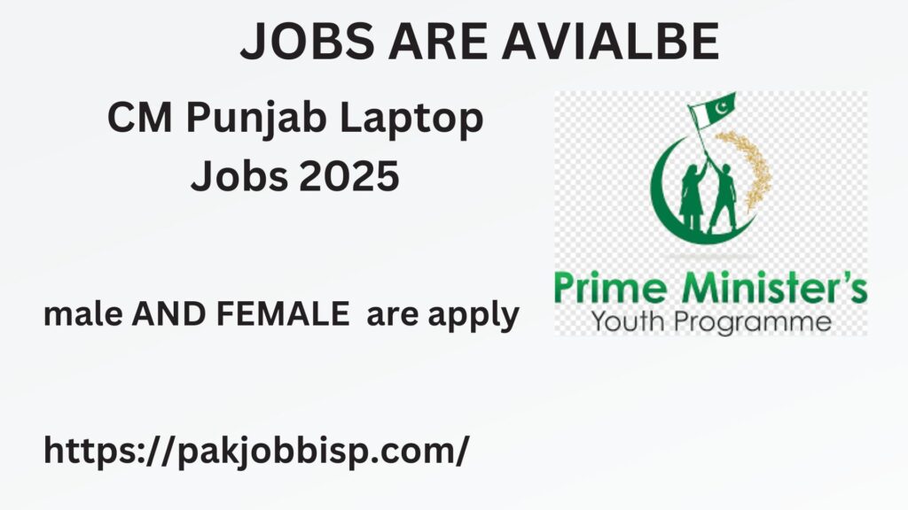 CM Punjab Laptop Jobs 2025