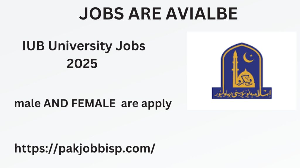   IUB University Jobs 2025